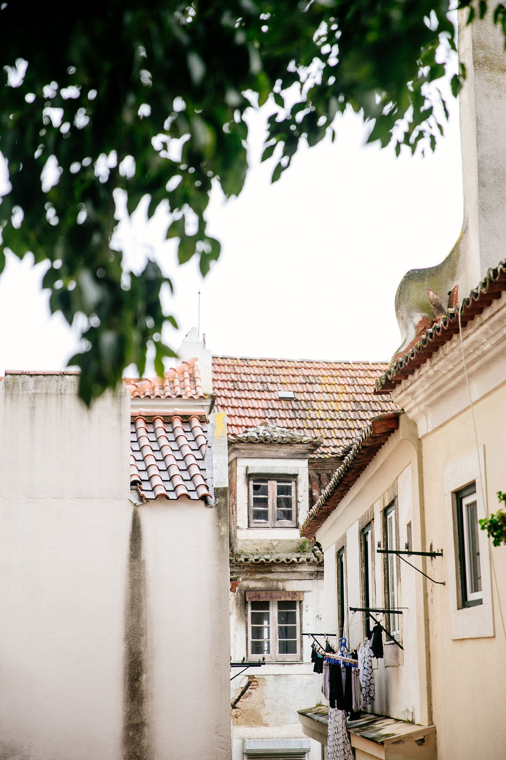 Windows with clothes lines in Alfama