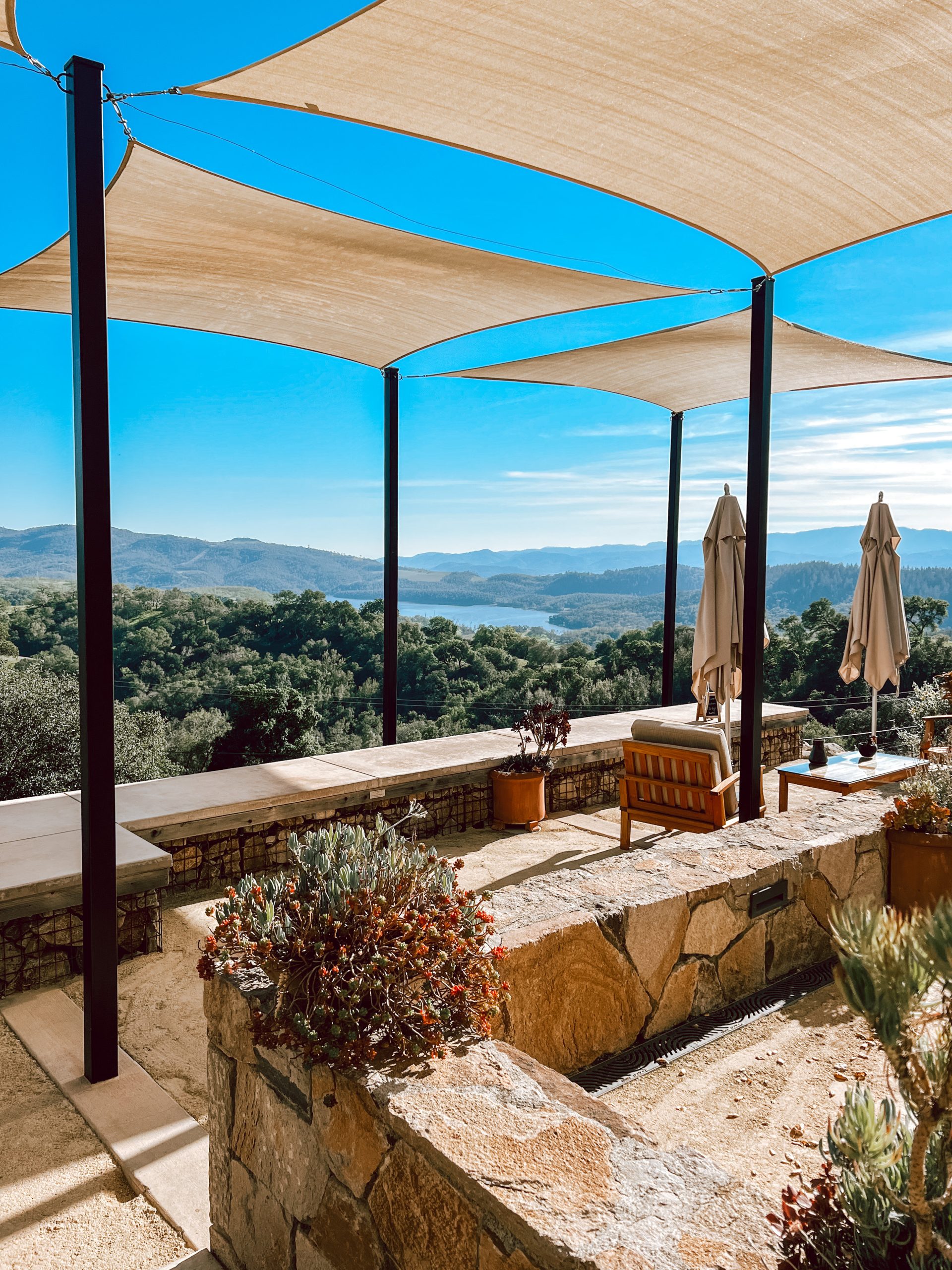 Amizetta vineyards view | Weekend in Napa Guide