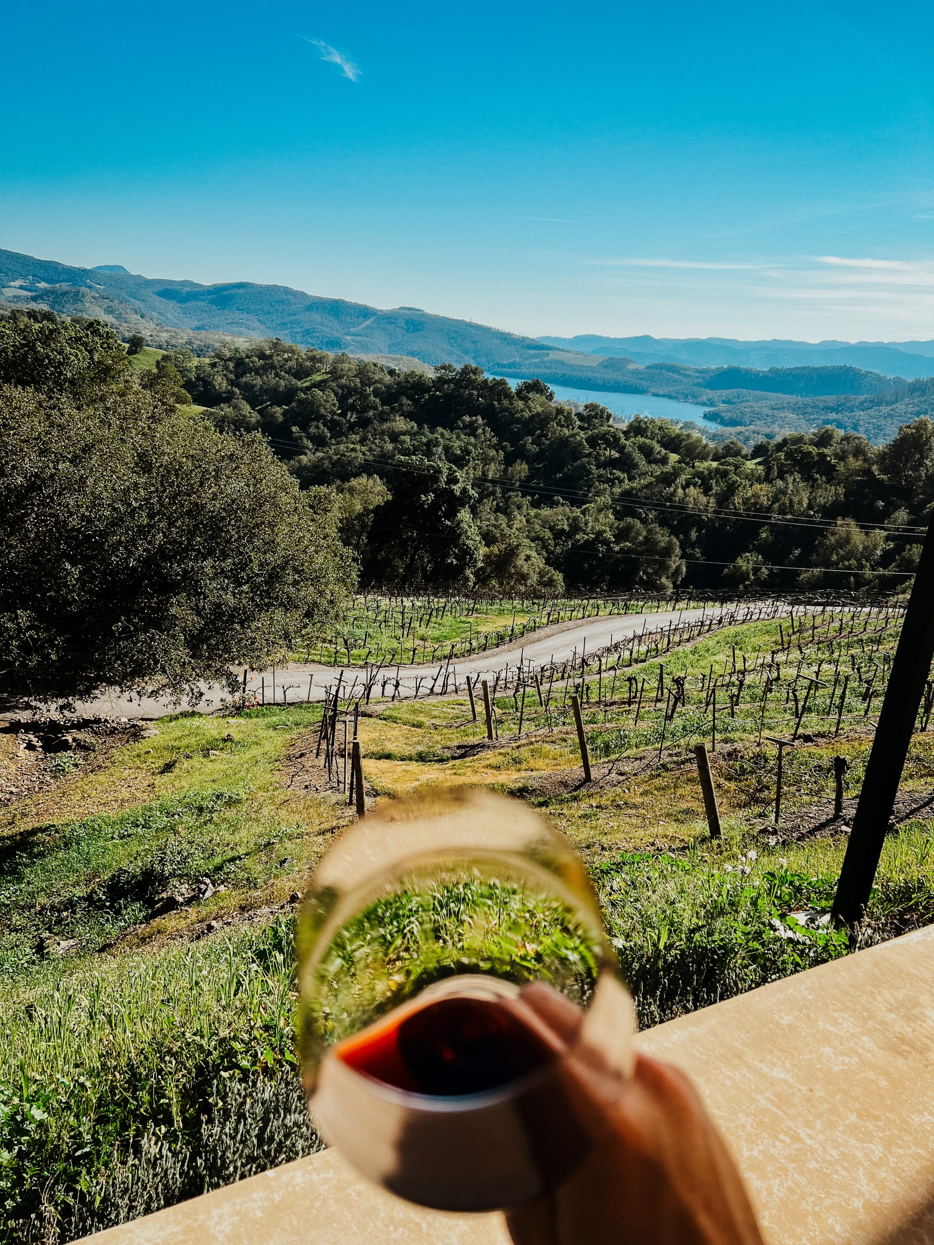 Amizetta vineyards | Weekend in Napa Guide