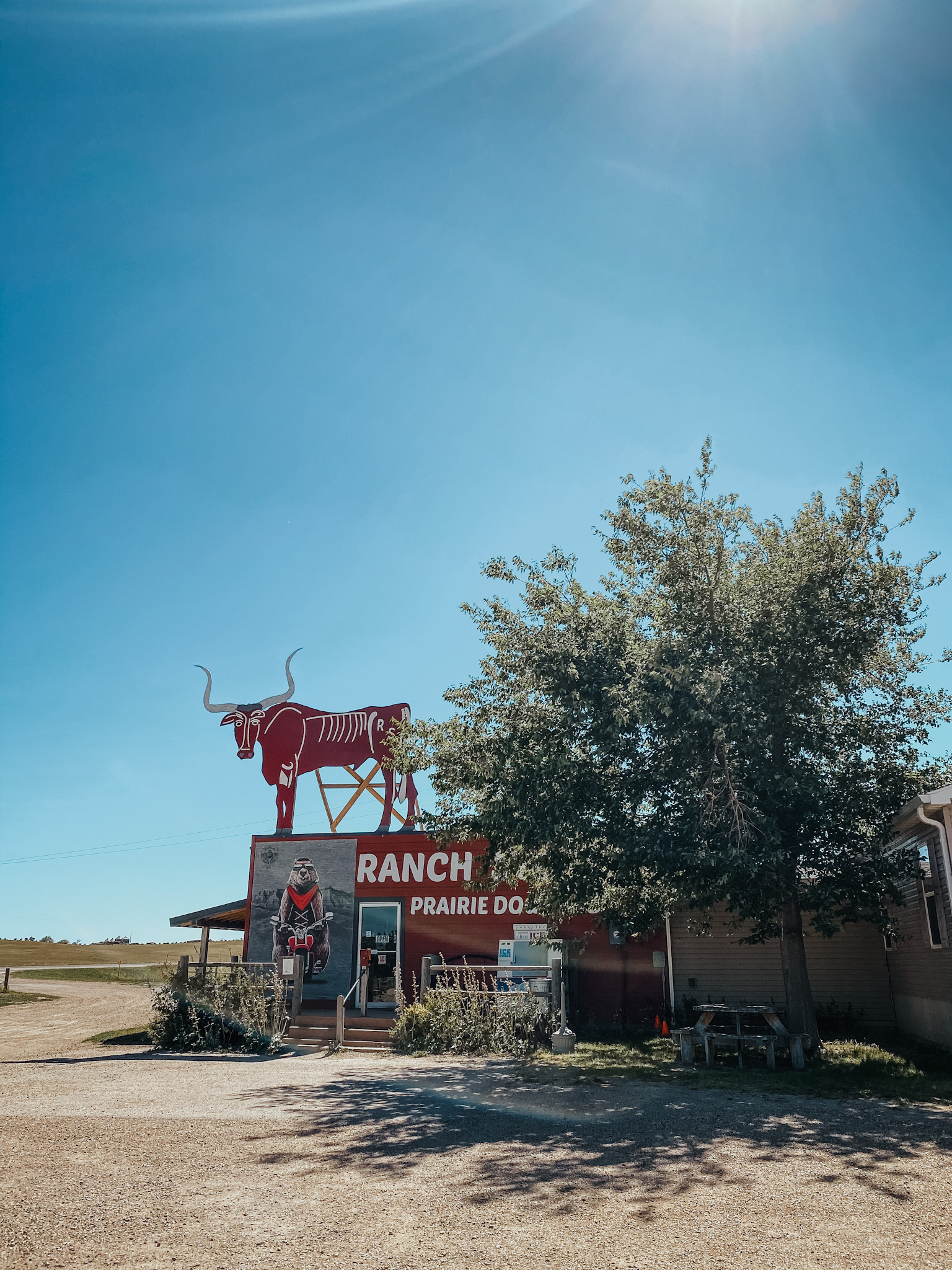 what to do in badlands