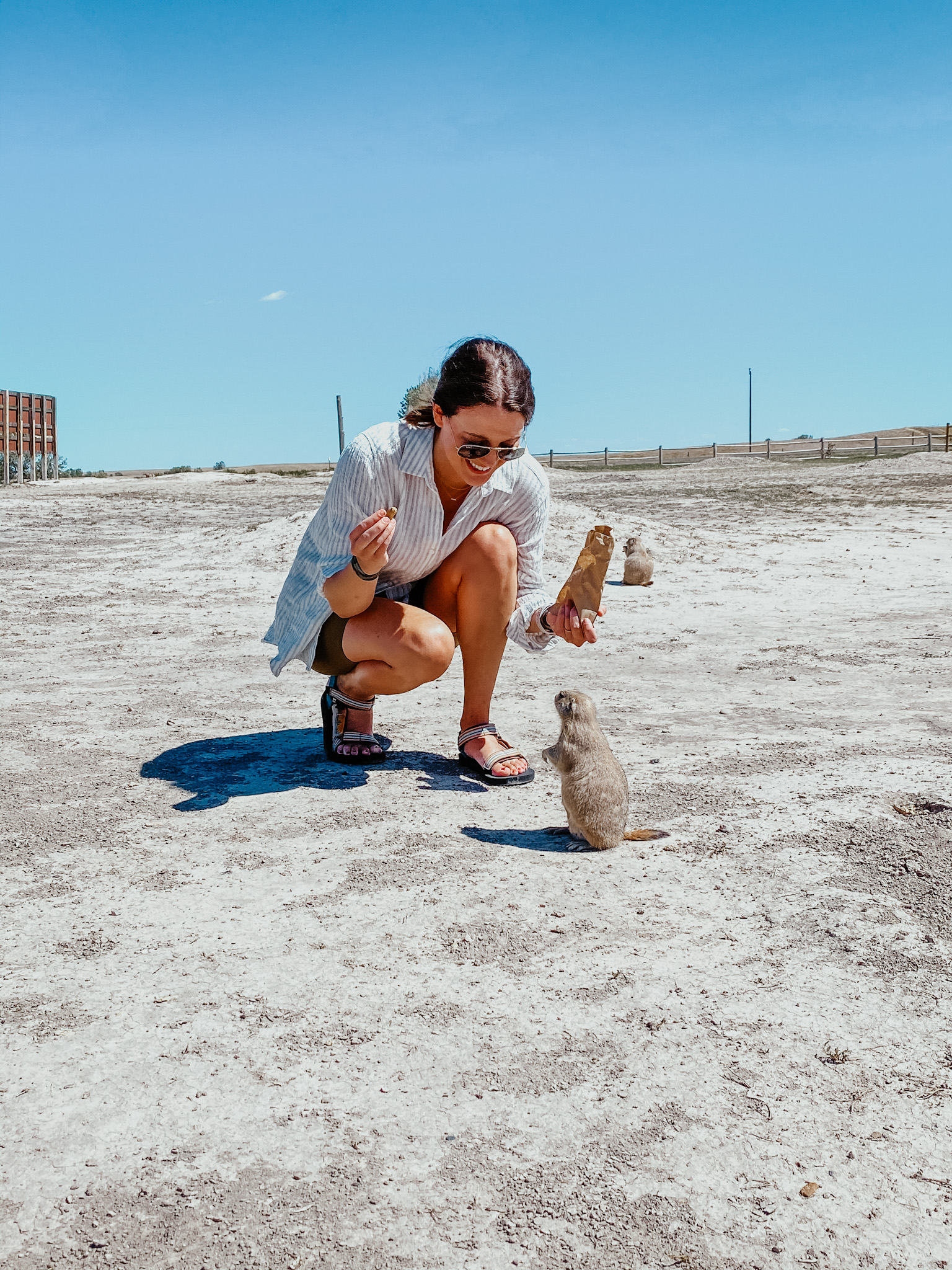 Prairie Dog Ranch peanut feeding