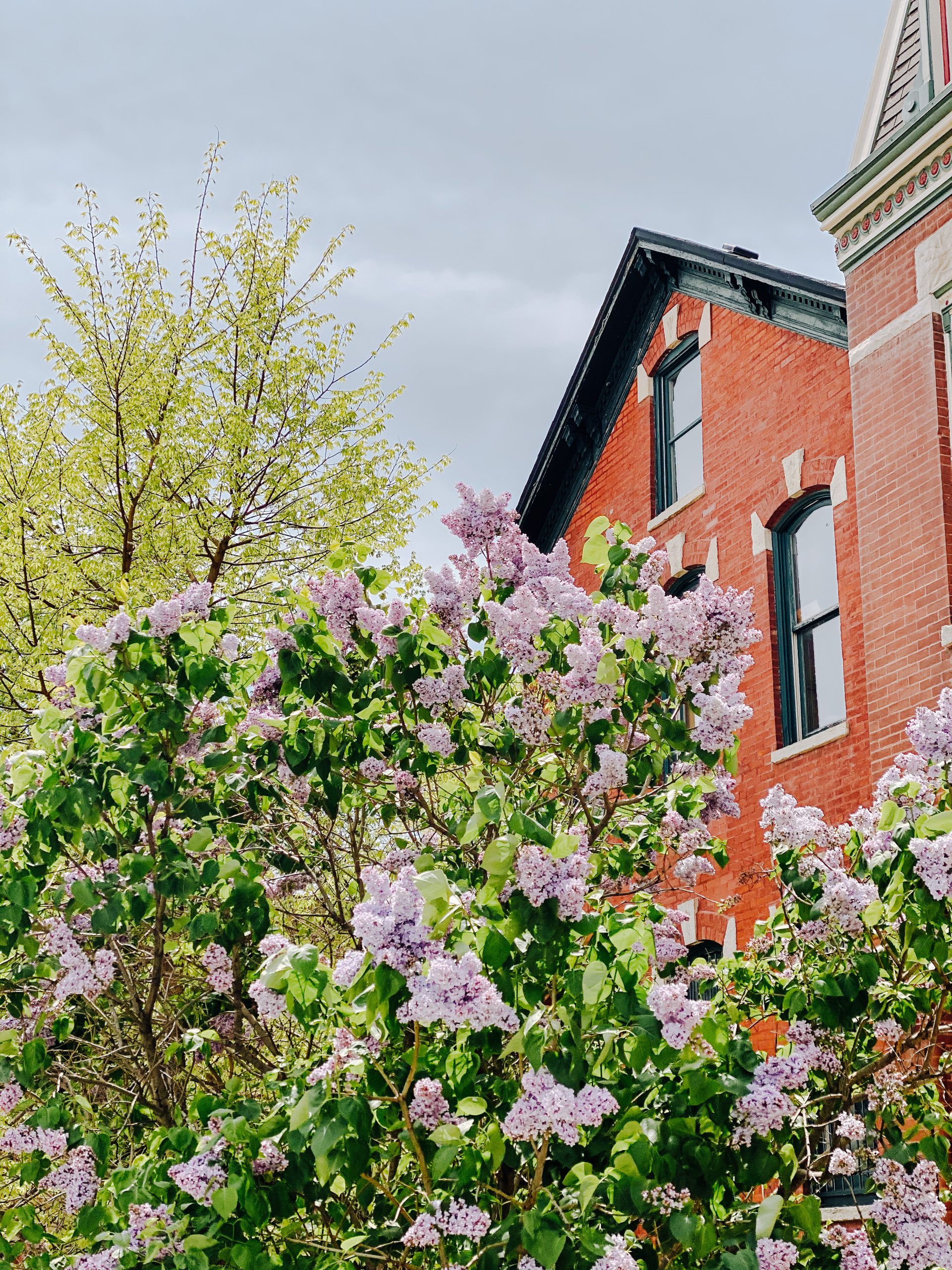 chicago neighborhood