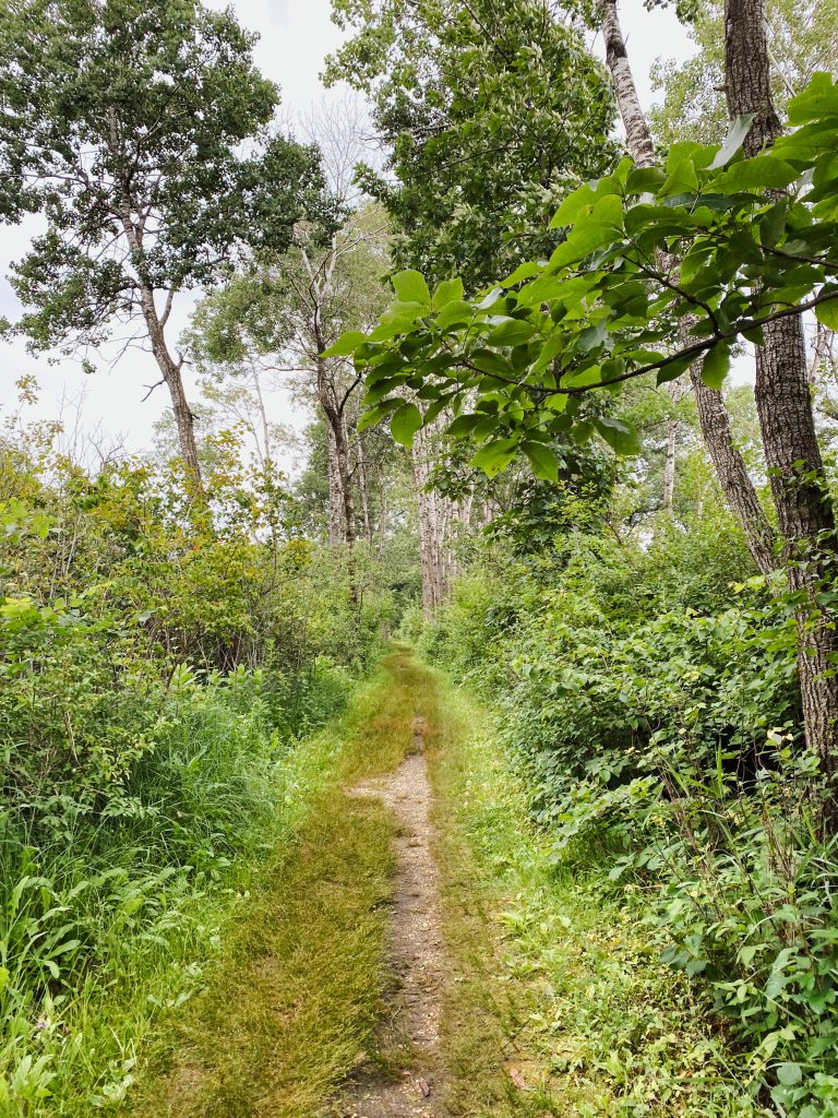 Scuppernong springs nature trail