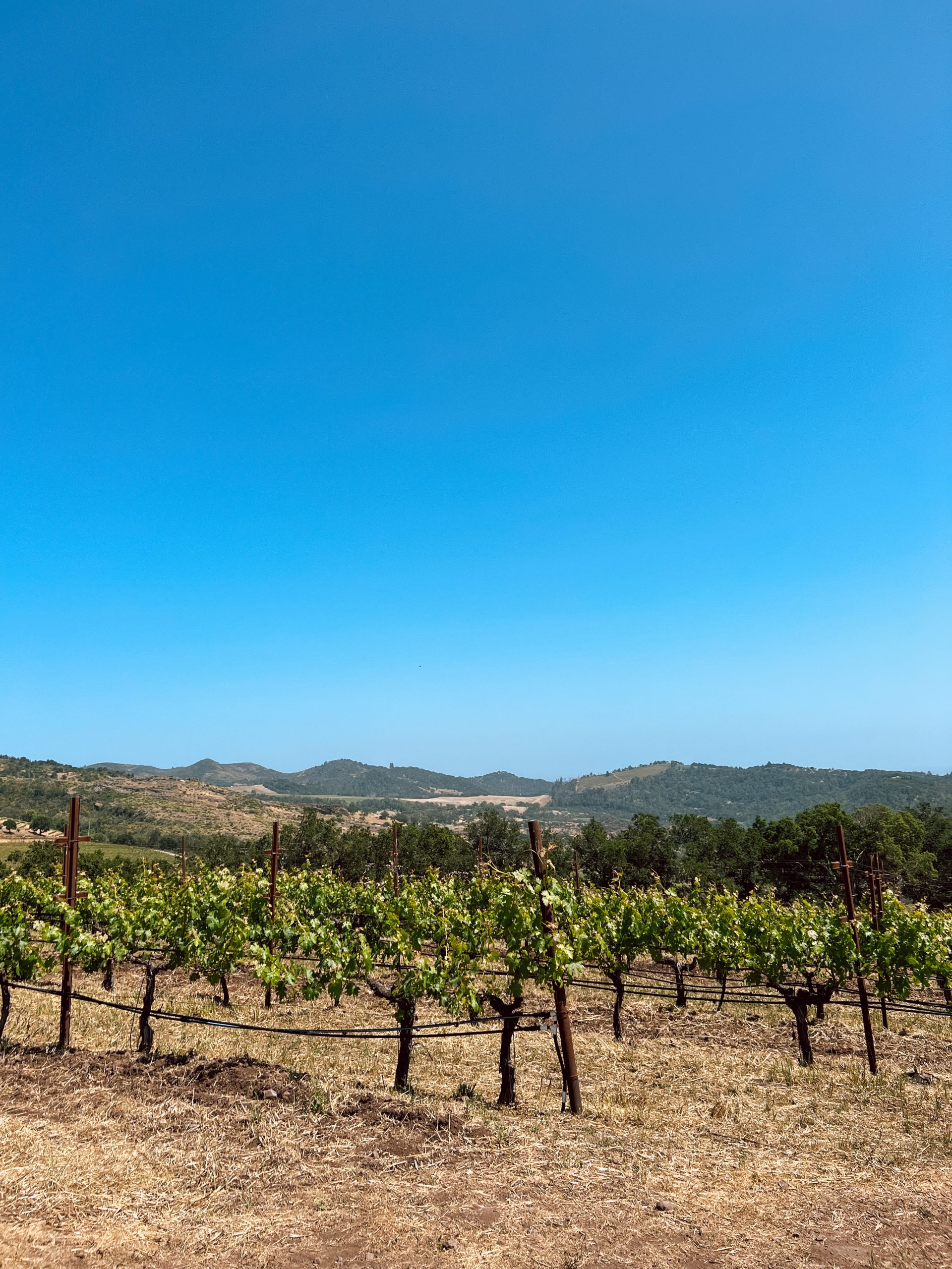 Repris wine tasting | Weekend in Napa & Sonoma guide