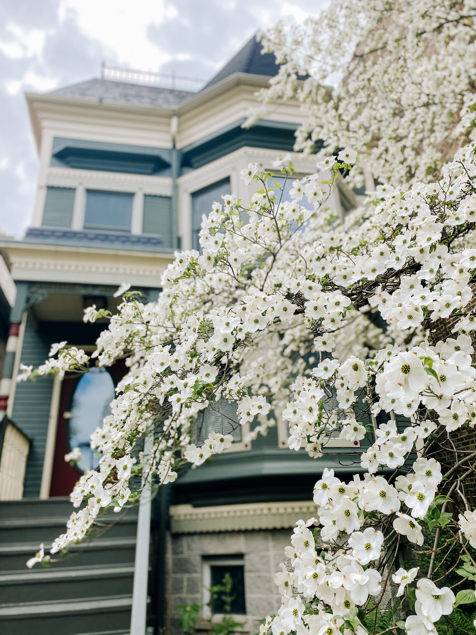 chicago neighborhood during spring