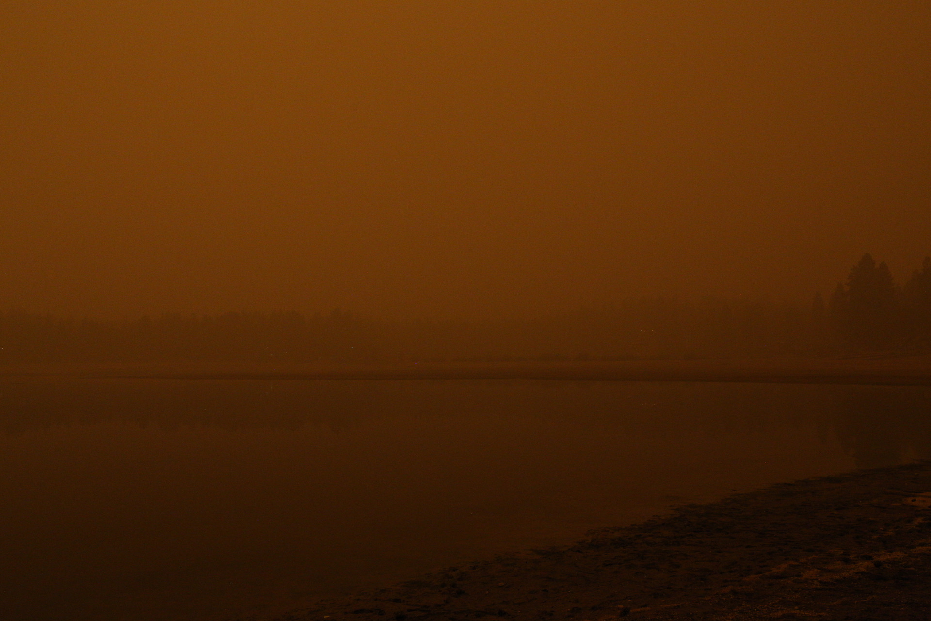 An Apocalyptic Glimpse of Oregon Right Now and How You Can Help