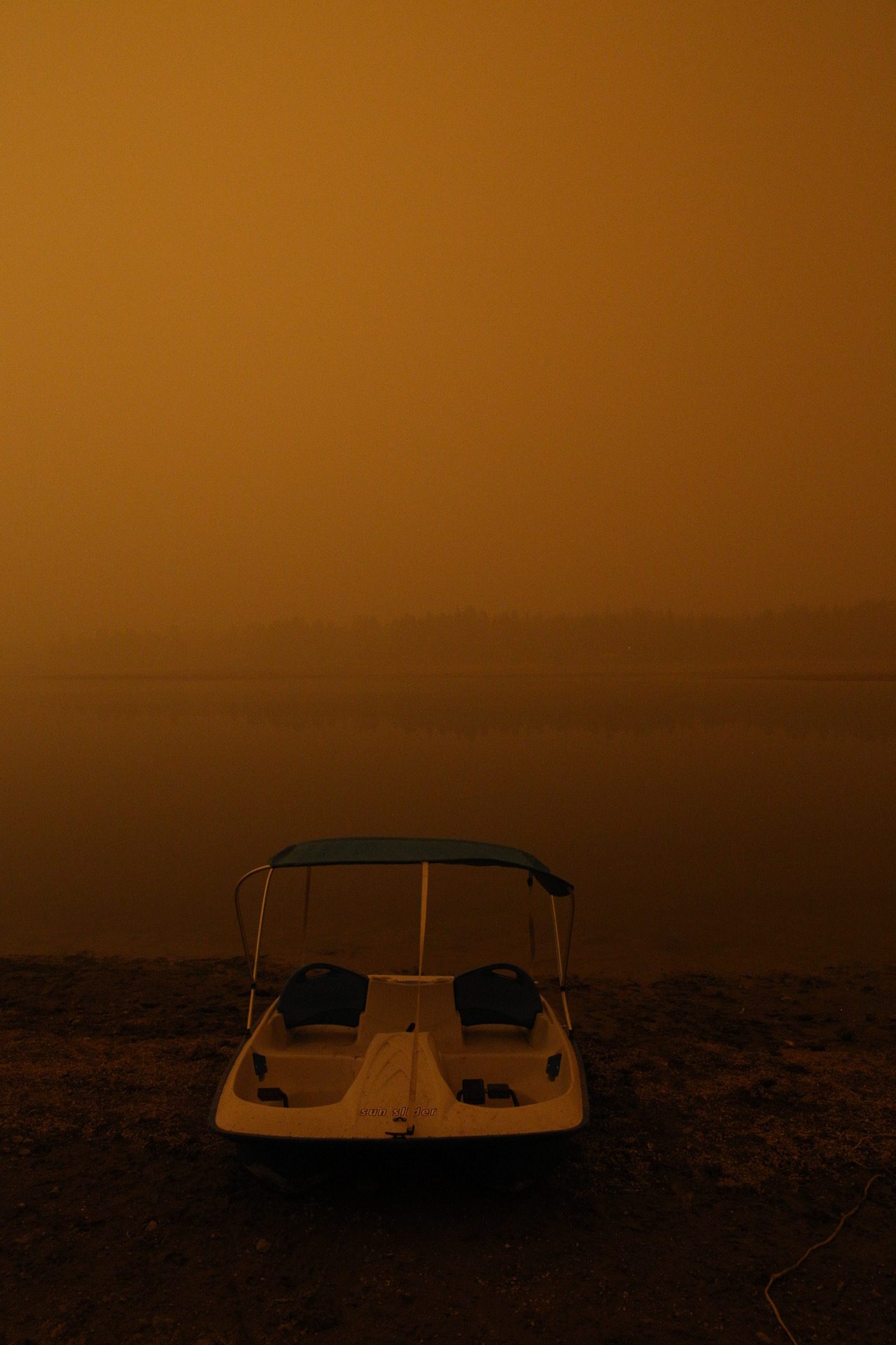 An Apocalyptic Glimpse of Oregon Right Now and How You Can Help