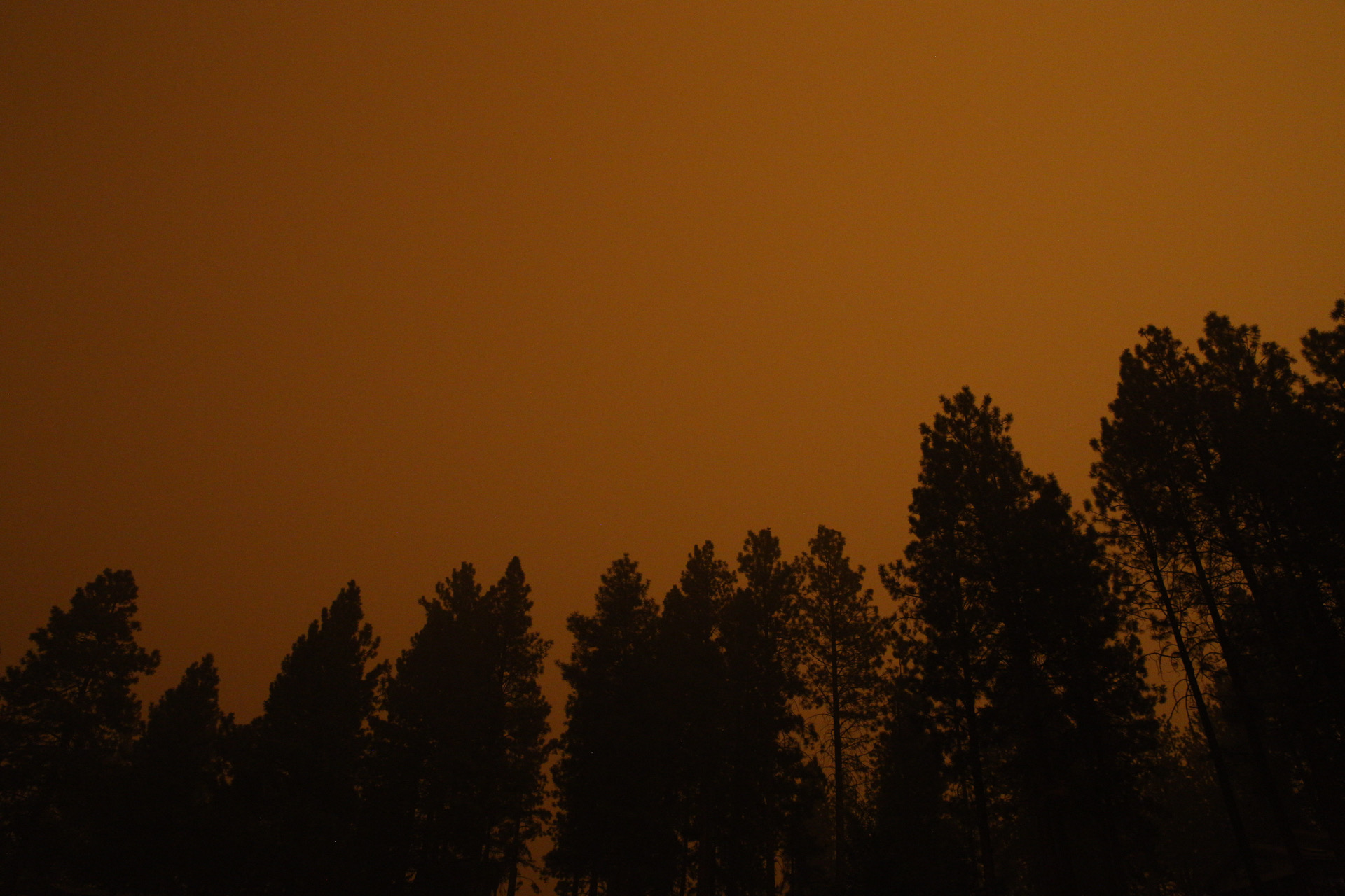 An Apocalyptic Glimpse of Oregon Right Now and How You Can Help