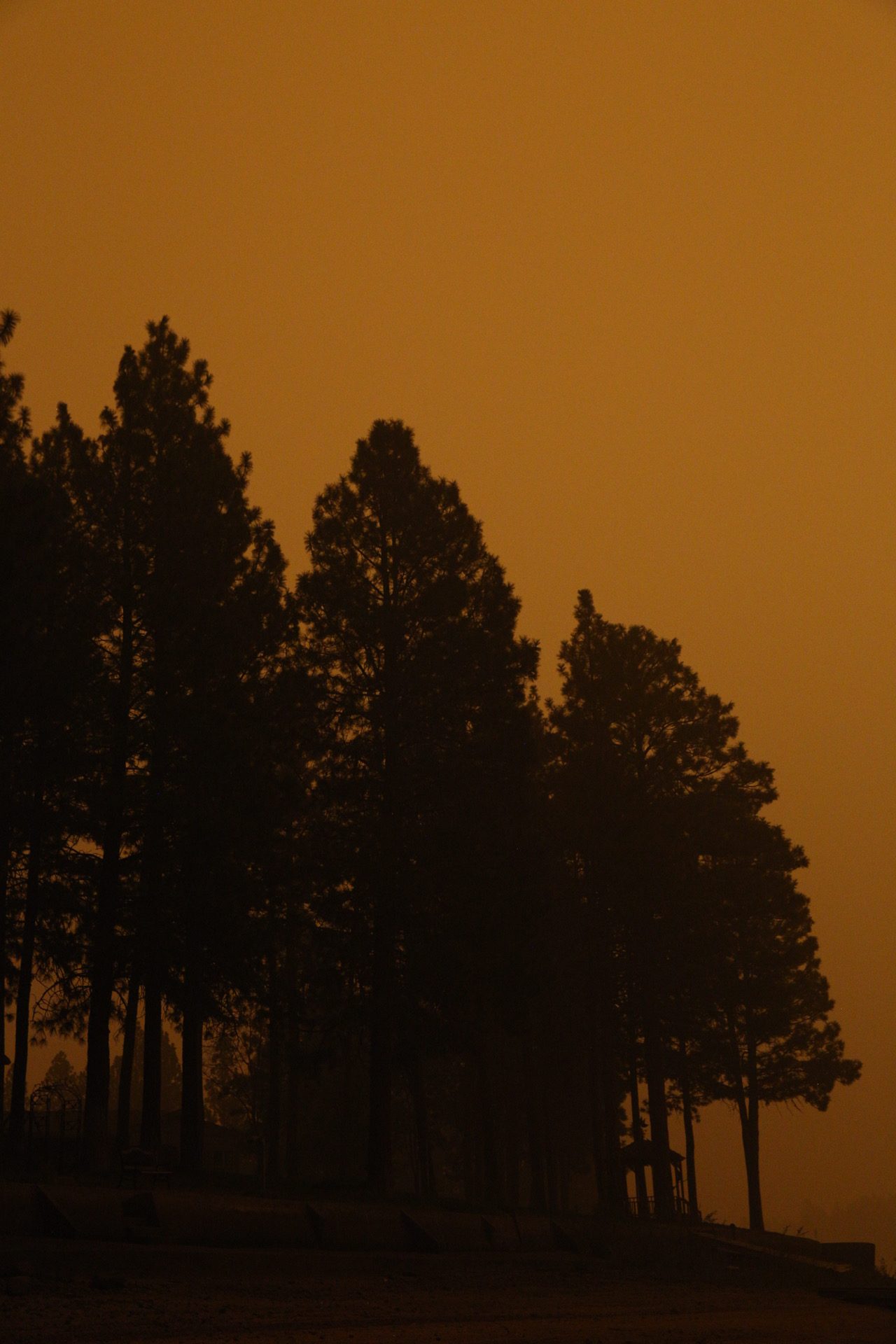 An Apocalyptic Glimpse of Oregon Right Now and How You Can Help