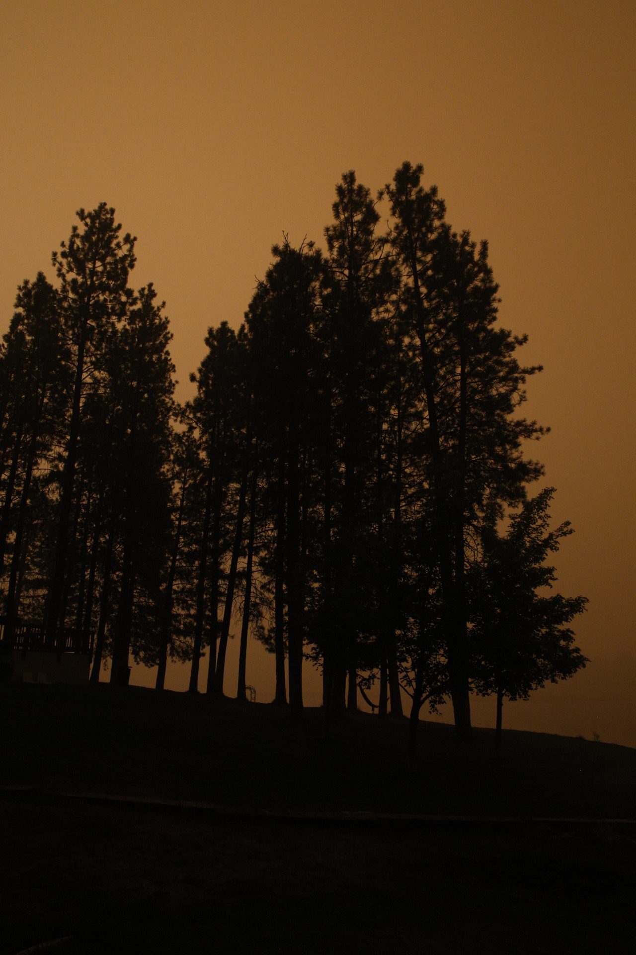 An Apocalyptic Glimpse of Oregon Right Now and How You Can Help