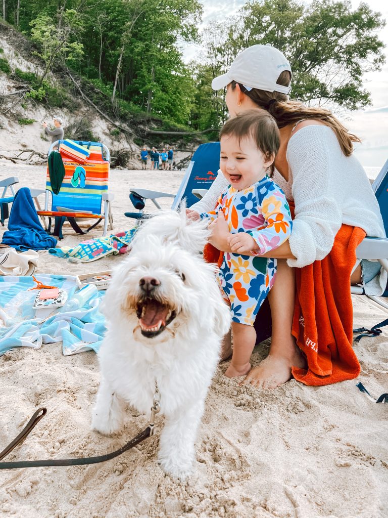 dog and baby at the beach