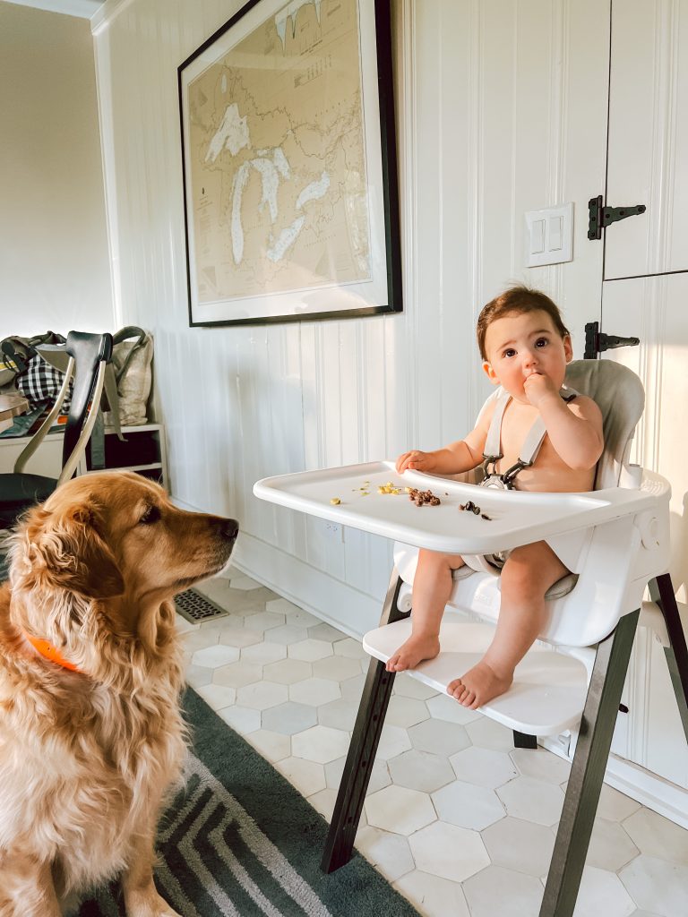 Dog watching baby eat | Lake House Weekend