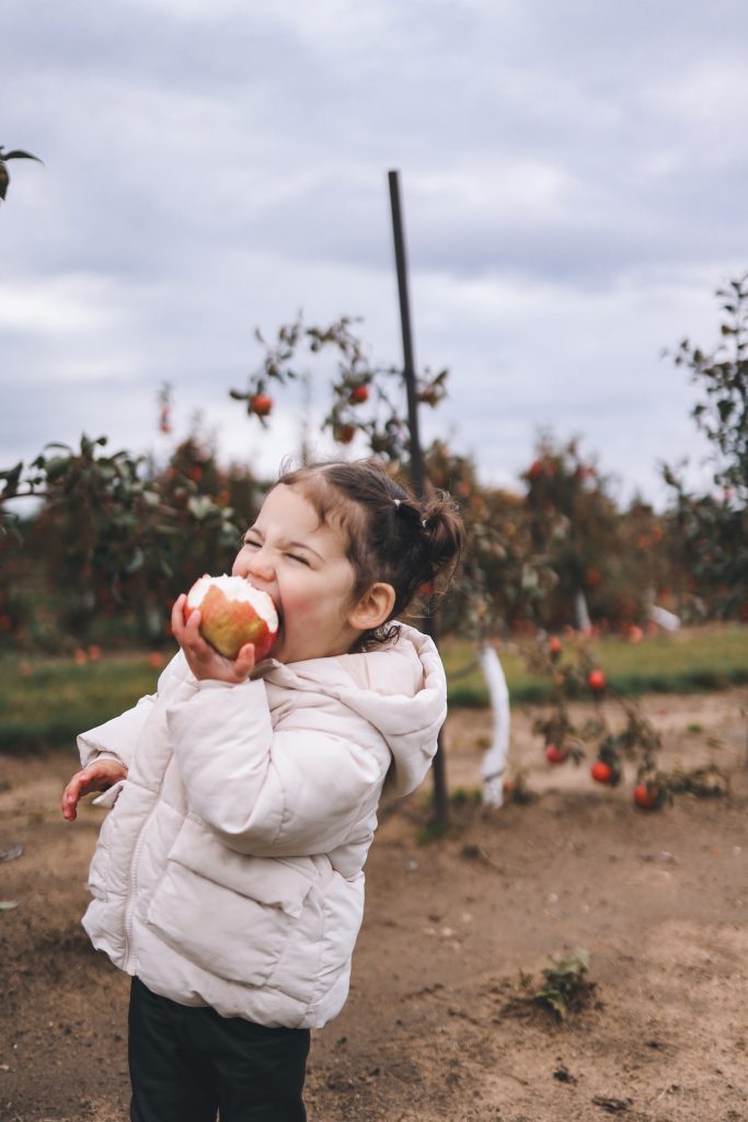 Happy toddler biting an apple