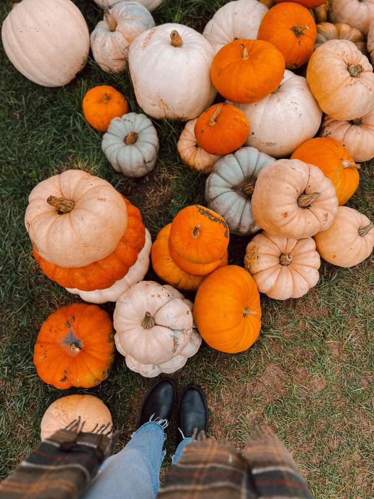 Crane's Pie Pantry pumpkins