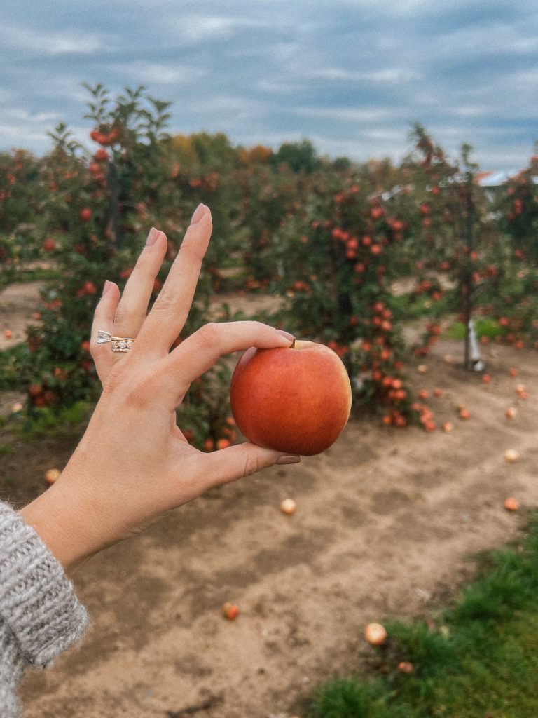 Saugatuck Fall family trip