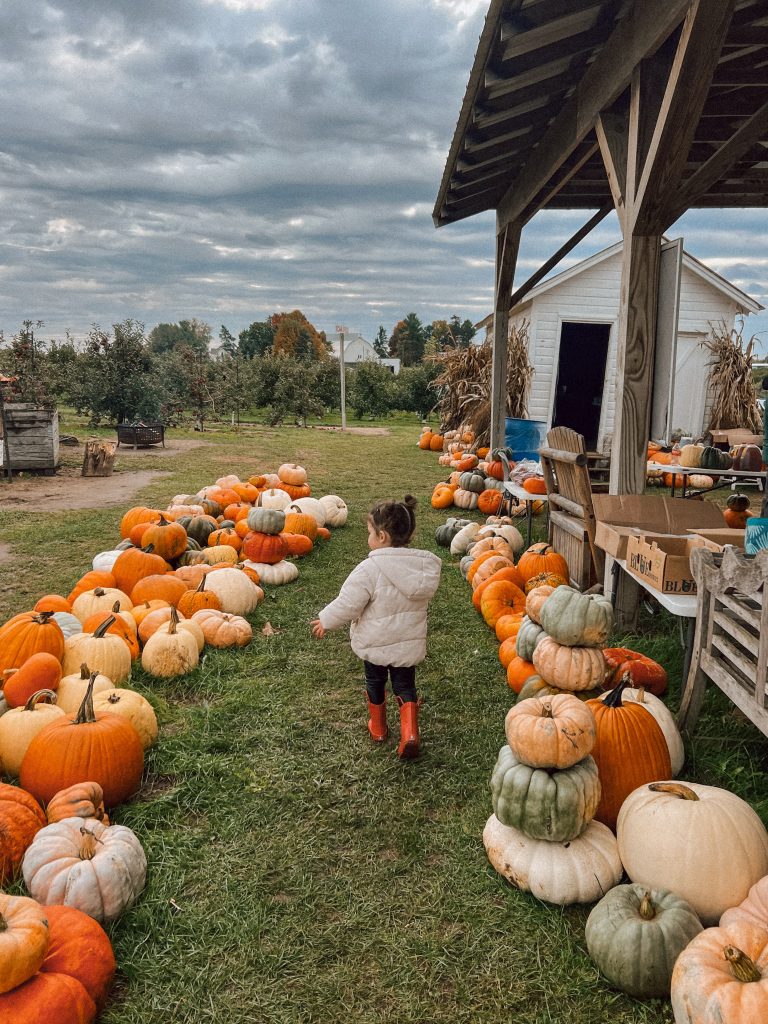 Crane's Pie Pantry kids activities