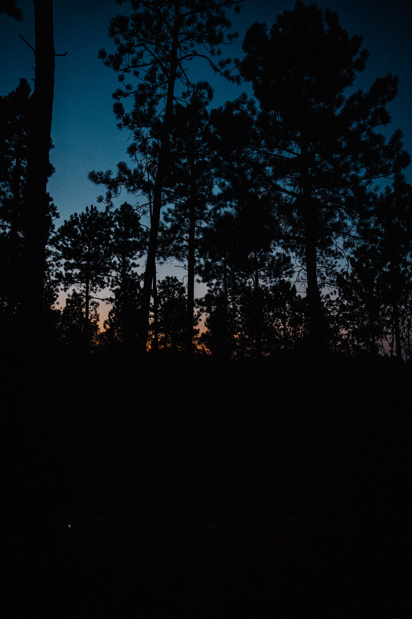 South Dakota Road Trip at night