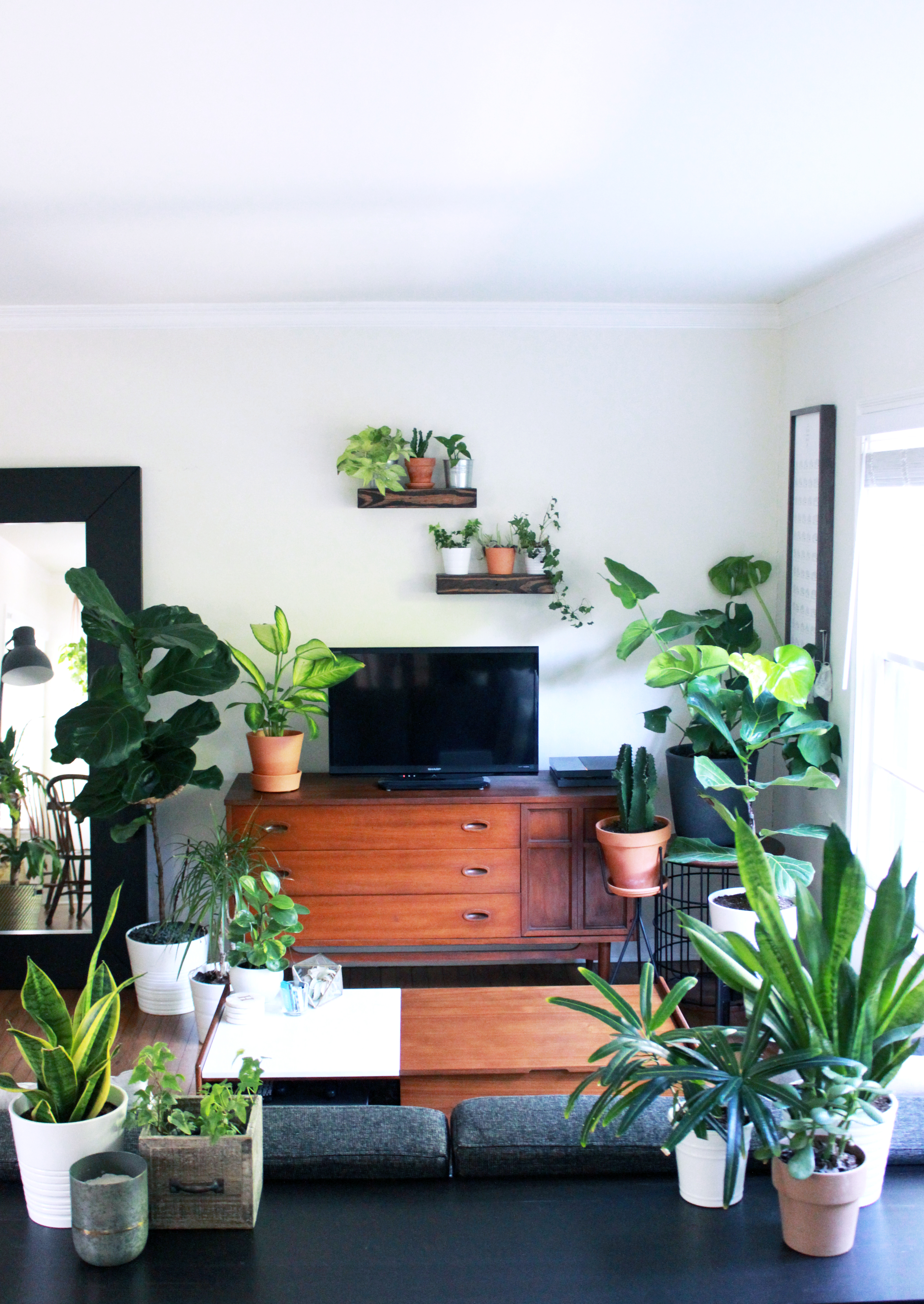 how to decorate with houseplants like these ones