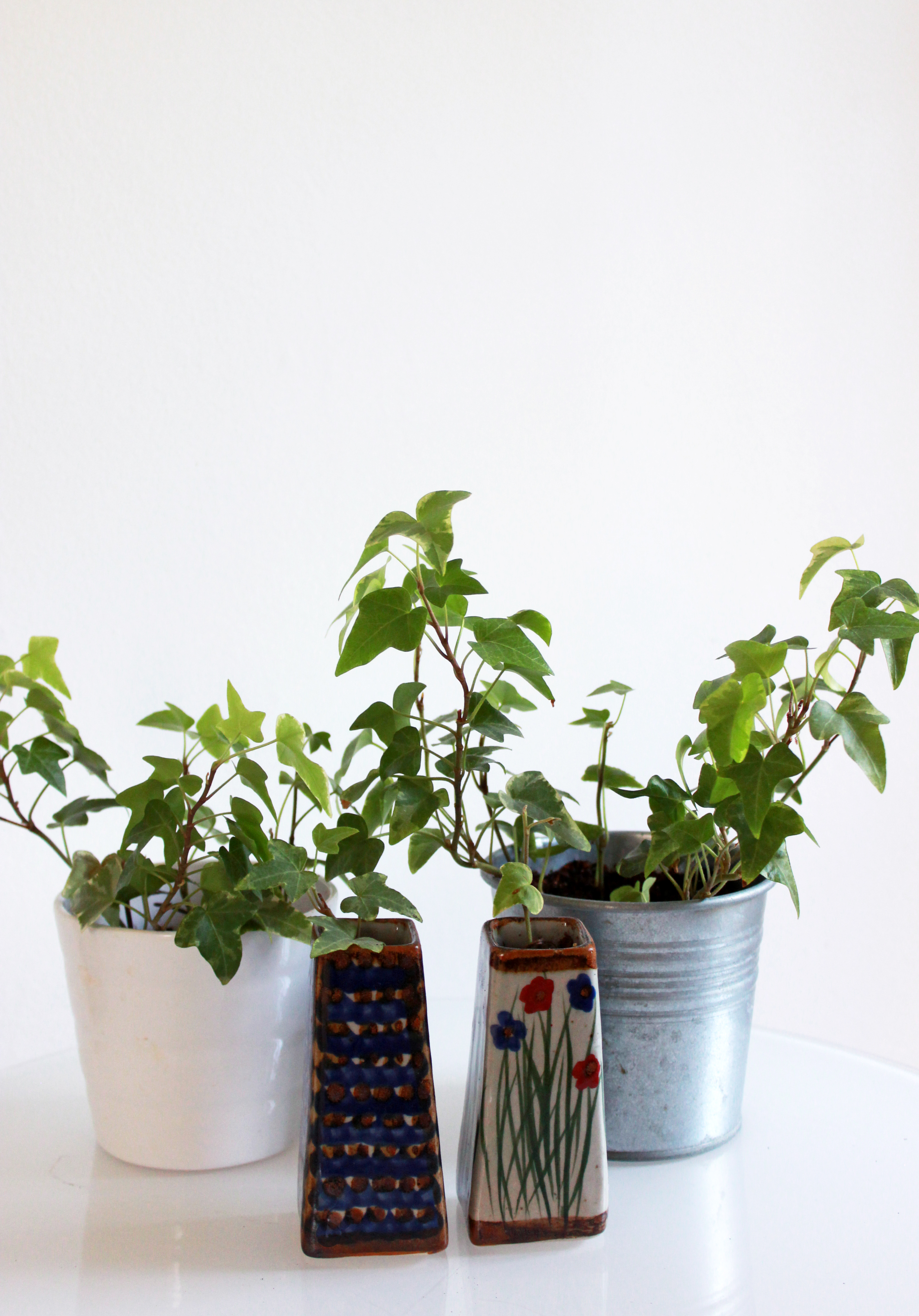 a bunch of plants in pots